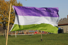 Load image into Gallery viewer, Genderqueer Flag