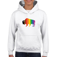 Load image into Gallery viewer, QPOC Youth Hoodie