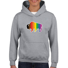 Load image into Gallery viewer, QPOC Youth Hoodie