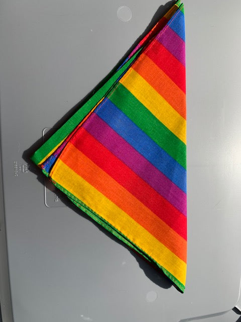 Rainbow Bandana