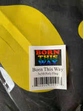 Load image into Gallery viewer, Born This Way Flag
