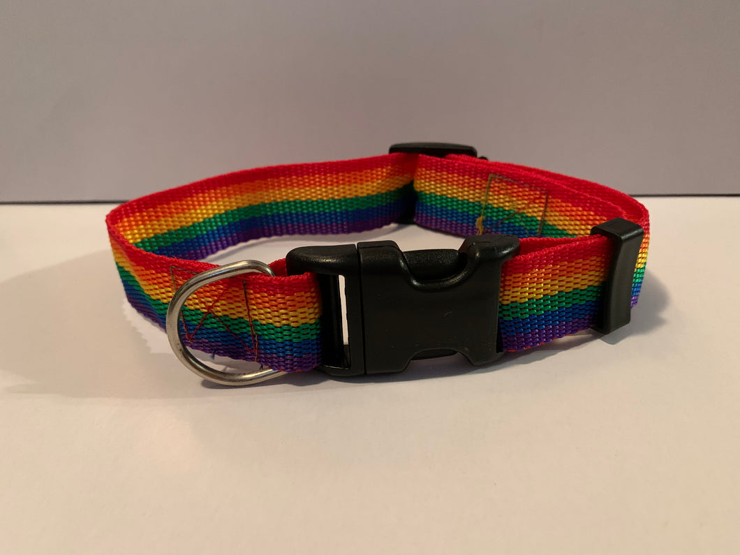 Rainbow Dog Collar