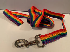 Rainbow Dog Leash