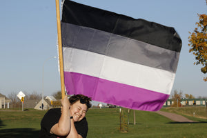 Asexual Flag