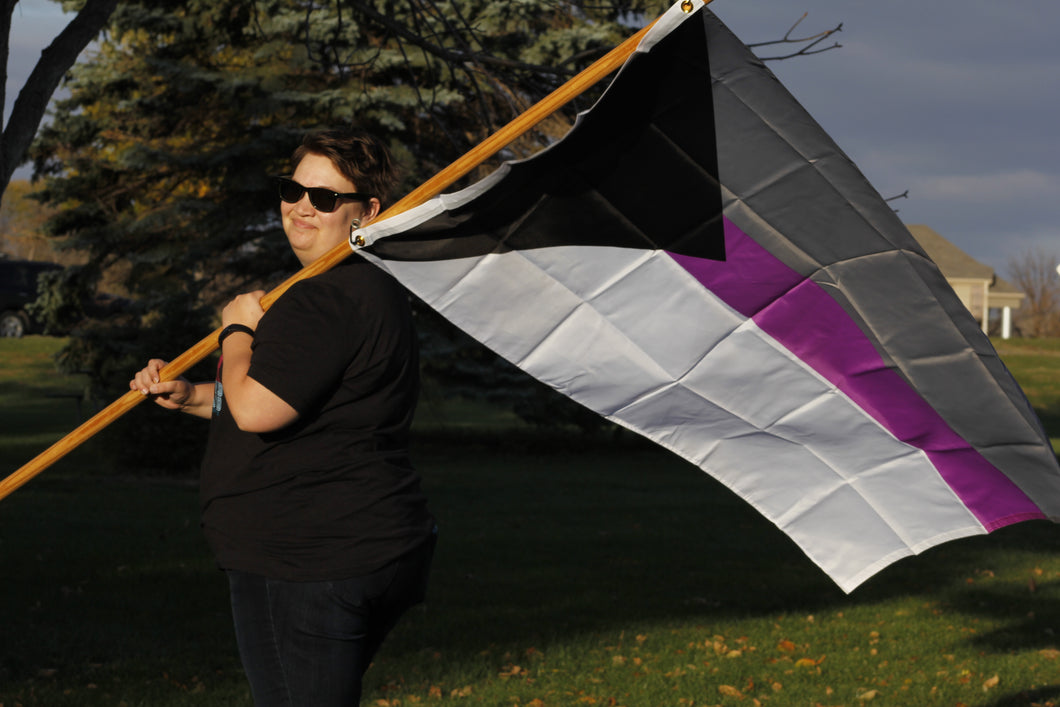 Demisexual Pride Flag