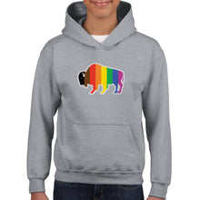 Load image into Gallery viewer, QPOC Youth Hoodie
