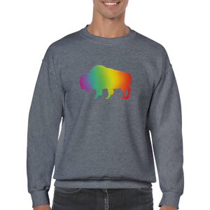 Ally Gradient Rainbow Buffalo Sweatshirt