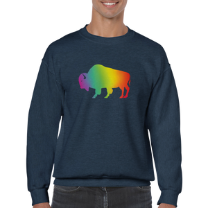Ally Gradient Rainbow Buffalo Sweatshirt
