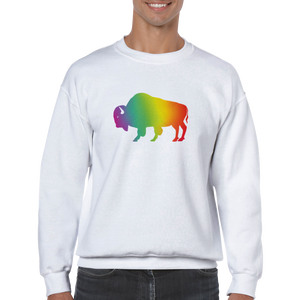 Ally Gradient Rainbow Buffalo Sweatshirt