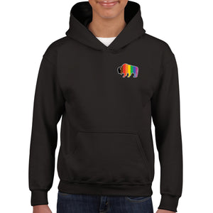 Mini QPOC Bison Youth Hoodie