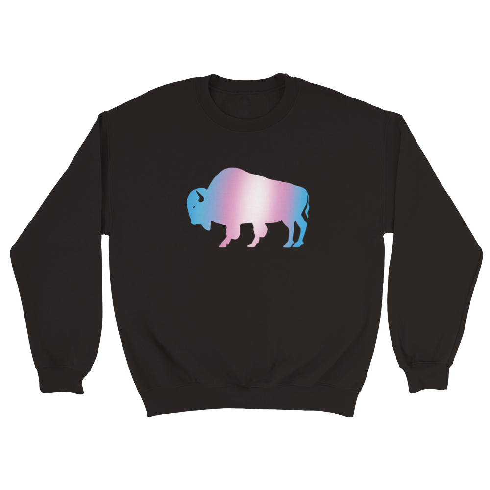 Trans Gradient Buffalo Sweatshirt