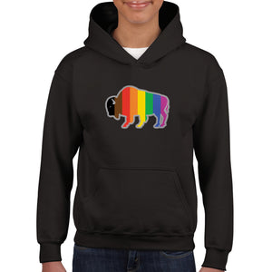 QPOC Youth Hoodie