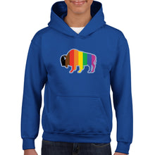 Load image into Gallery viewer, QPOC Youth Hoodie
