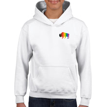 Load image into Gallery viewer, Mini QPOC Bison Youth Hoodie
