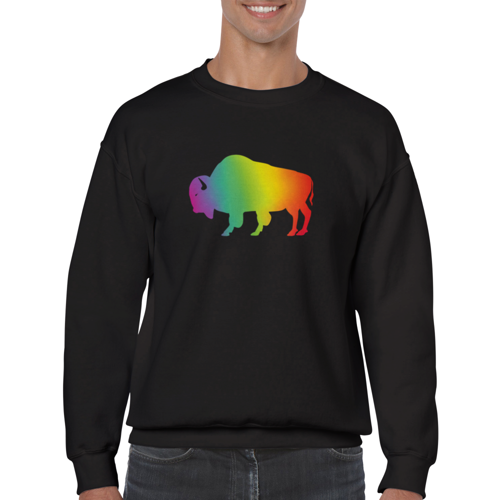 Ally Gradient Rainbow Buffalo Sweatshirt