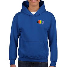 Load image into Gallery viewer, Mini QPOC Bison Youth Hoodie
